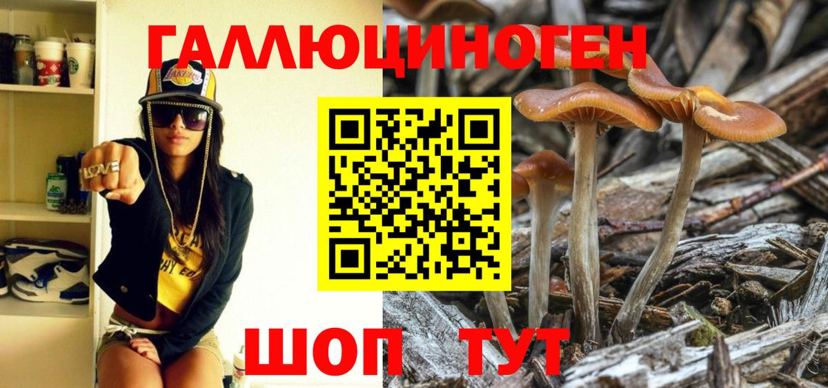 Псилоцибиновые грибы MAGIC MUSHROOMS Йошкар-Ола
