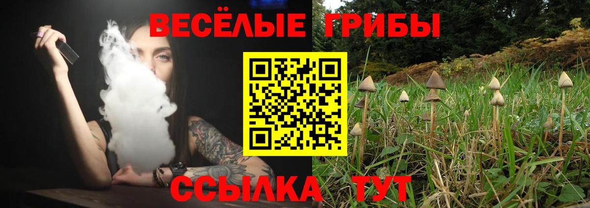 Псилоцибиновые грибы мухоморы  Йошкар-Ола  Псилоцибиновые грибы MAGIC MUSHROOMS 